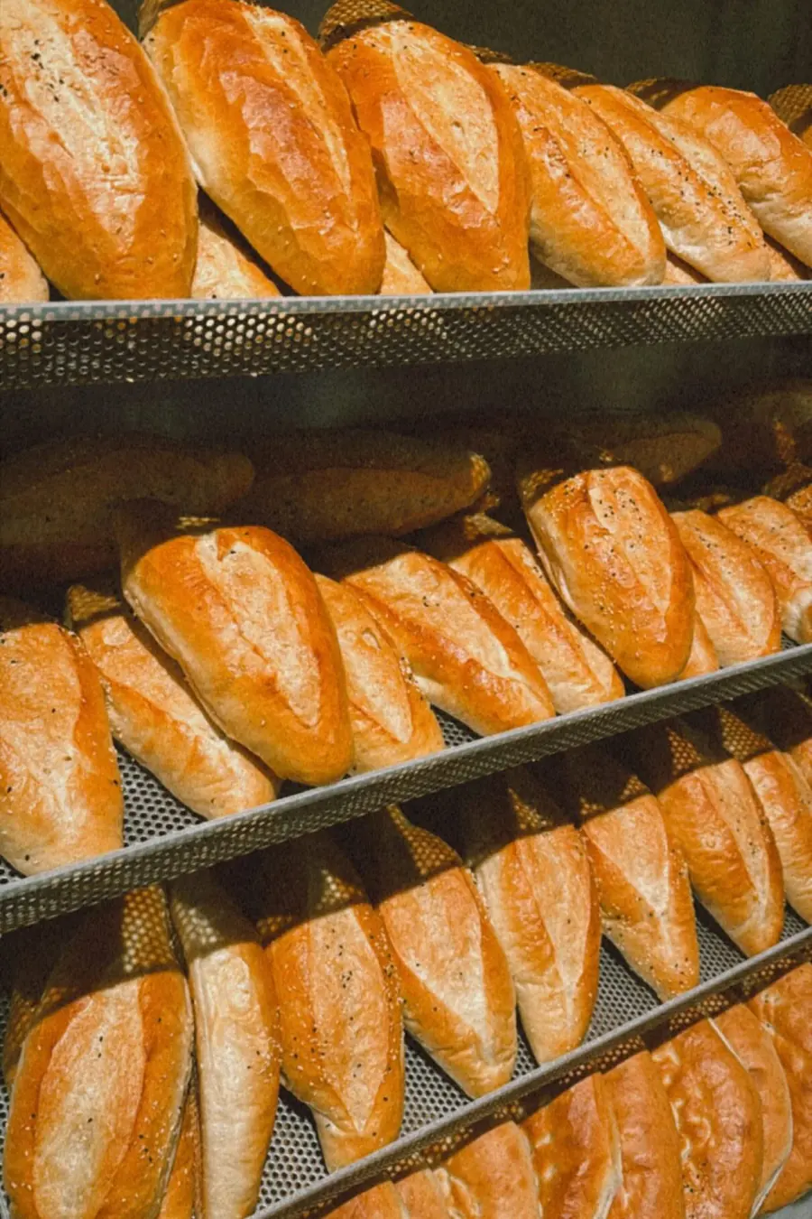 Frisches Brot aus dem eigenen Ofen